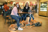 Lemoore's Vicki Jones with daughters Breana (left) and Kandace (right). Golden retrievers Lazer and Duke take it easy beneath a table at Starbucks.